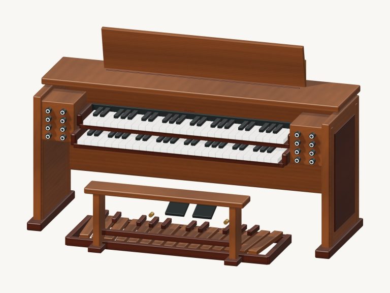online virtual organ